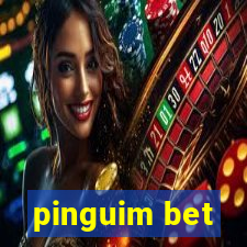 pinguim bet